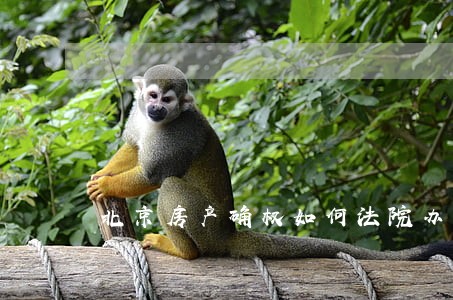 北京房产确权如何法院办理 北京房产确权如何法院办理
