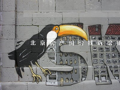 北京房产纠纷找诉讼律师价格 北京房产纠纷找诉讼律师价格
