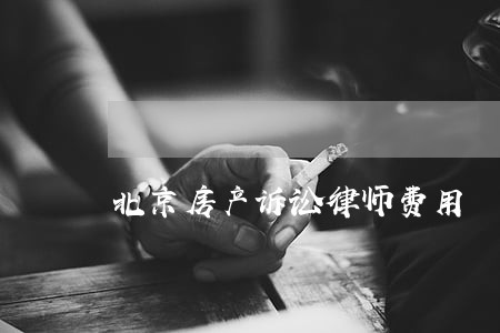 北京房产诉讼律师费用 北京房产诉讼律师费用