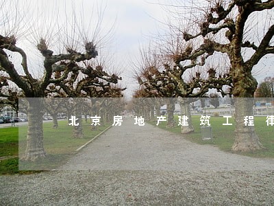北京房地产建筑工程律师 北京房地产建筑工程律师