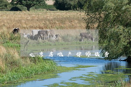 北京房地产律师收费 北京房地产律师收费