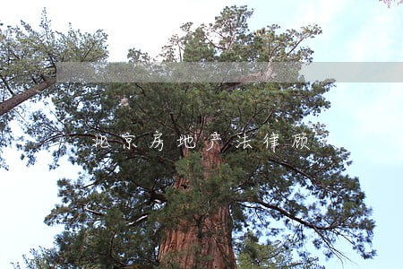 北京房地产法律顾问 北京房地产法律顾问