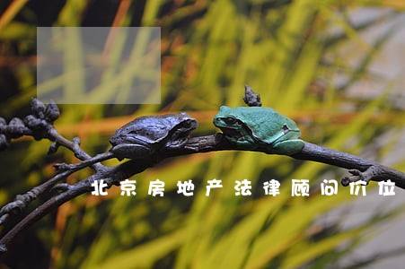 北京房地产法律顾问价位 北京房地产法律顾问价位