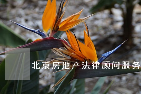 北京房地产法律顾问服务 北京房地产法律顾问服务