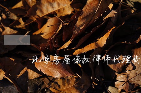 北京房屋债权律师代理费 北京房屋债权律师代理费