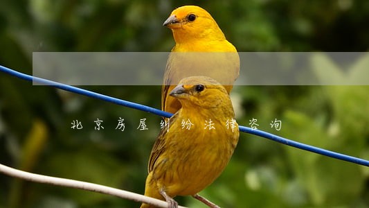 北京房屋纠纷法律咨询 北京房屋纠纷法律咨询