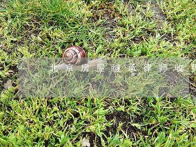 北京房屋继承律师收费标准 北京房屋继承律师收费标准