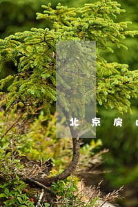 北京房山个人债务纠纷律师 北京房山个人债务纠纷律师
