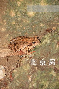 北京房山债务纠纷律师朝阳 北京房山债务纠纷律师朝阳