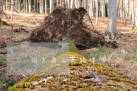 北京房山离婚律师 北京房山离婚律师