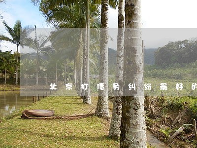 北京打债务纠纷最好的律师 北京打债务纠纷最好的律师