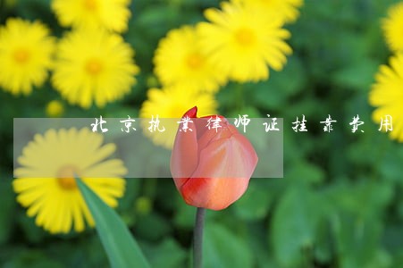 北京执业律师证挂靠费用 北京执业律师证挂靠费用