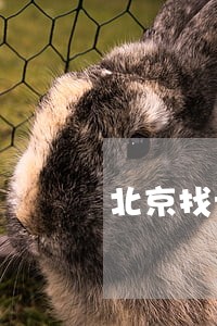 北京找专攻刑事诉讼律师咨询电话