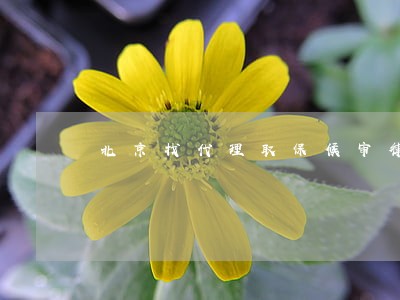 北京找代理取保候审律师 北京找代理取保候审律师
