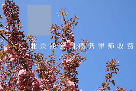 北京找公司债务律师收费标准 北京找公司债务律师收费标准
