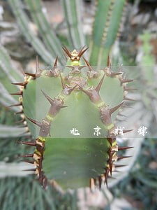 北京找律师 北京找律师