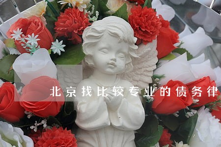 北京找比较专业的债务律师有哪些