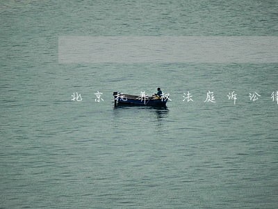 北京抚养权法庭诉讼律师哪个好 北京抚养权法庭诉讼律师哪个好