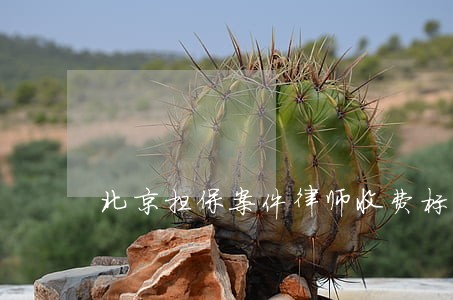 北京担保案件律师收费标准 北京担保案件律师收费标准