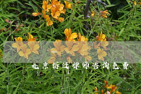 北京拆迁律师咨询免费 北京拆迁律师咨询免费