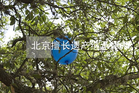 北京擅长遗产继承律师 北京擅长遗产继承律师