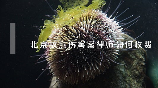 北京故意伤害案律师如何收费 北京故意伤害案律师如何收费
