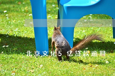 北京文化5亿贷款逾期 北京文化5亿贷款逾期