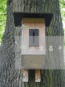 北京昌平债务执行律师专职 北京昌平债务执行律师专职