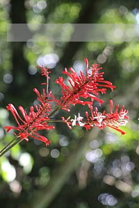 北京昌平债务执行律师出庭收费 北京昌平债务执行律师出庭收费