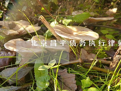 北京昌平债务执行律师咨询热线 北京昌平债务执行律师咨询热线