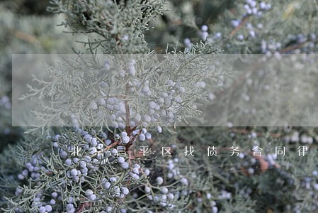 北京昌平区找债务合同律师 北京昌平区找债务合同律师