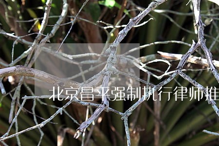 北京昌平强制执行律师推荐 北京昌平强制执行律师推荐