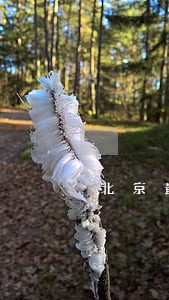 北京最好的房地产律师 北京最好的房地产律师