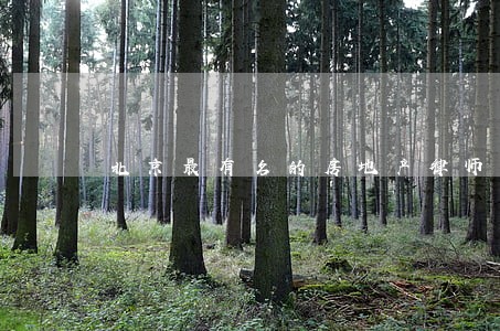 北京最有名的房地产律师