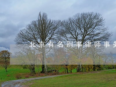 北京有名刑事律师事务所 北京有名刑事律师事务所