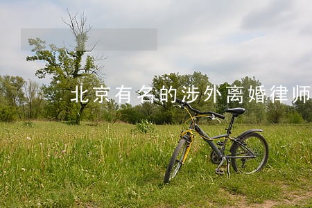 北京有名的涉外离婚律师 北京有名的涉外离婚律师