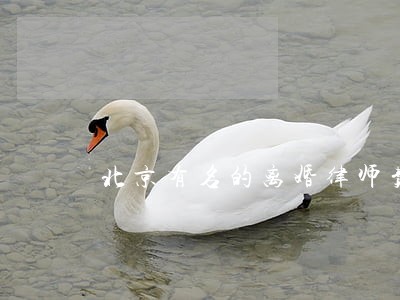 北京有名的离婚律师费用 北京有名的离婚律师费用