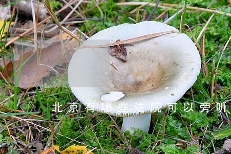 北京有哪些法院可以旁听 北京有哪些法院可以旁听