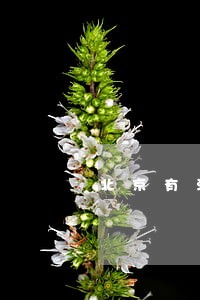 北京有没有专业的律师 北京有没有专业的律师