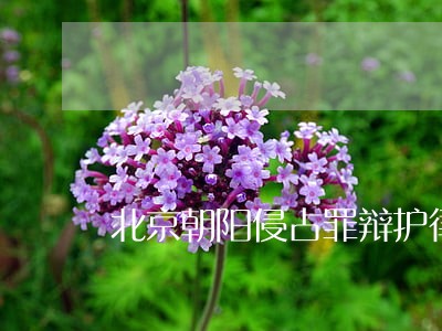 北京朝阳侵占罪辩护律师收费 北京朝阳侵占罪辩护律师收费