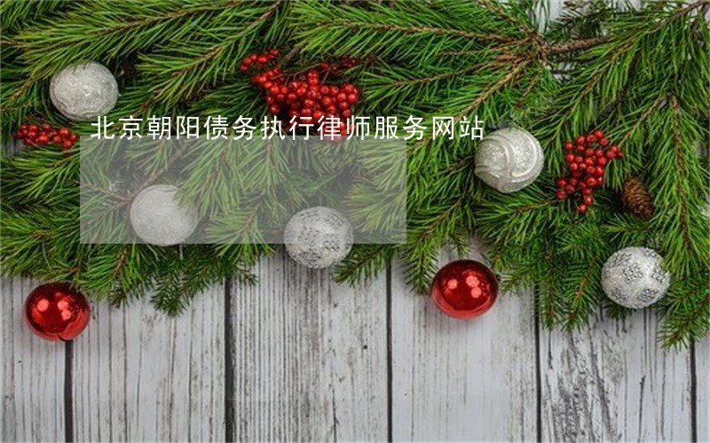 北京朝阳债务执行律师服务网站 北京朝阳债务执行律师服务网站
