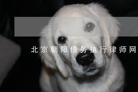 北京朝阳债务执行律师网站