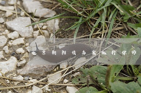 北京朝阳债务案执行律师代理