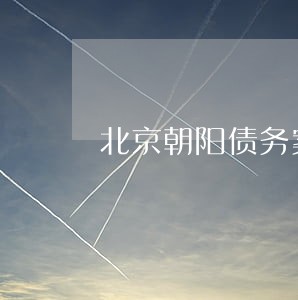 北京朝阳债务案执行律师诉讼费 北京朝阳债务案执行律师诉讼费
