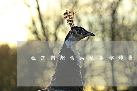 北京朝阳债权债务律师费怎么算 北京朝阳债权债务律师费怎么算