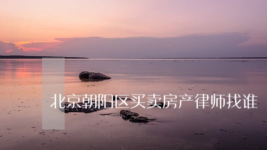 北京朝阳区买卖房产律师找谁 北京朝阳区买卖房产律师找谁