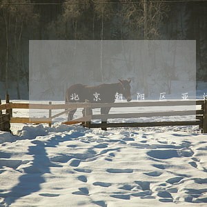 北京朝阳区亚运村法院电话 北京朝阳区亚运村法院电话