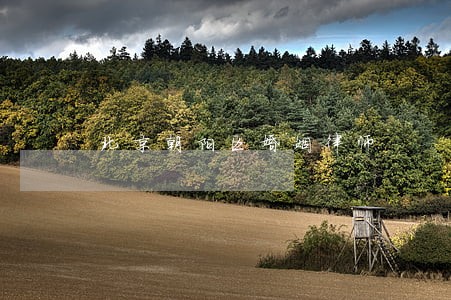 北京朝阳区婚姻律师 北京朝阳区婚姻律师