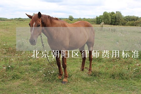 北京朝阳区律师费用标准