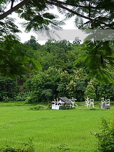 北京朝阳区房地产律师费 北京朝阳区房地产律师费